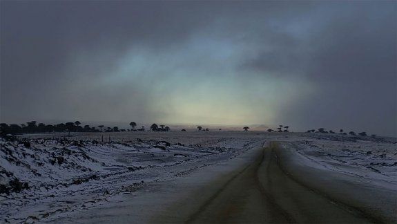 La zona de Primeros Pinos se tiñó de blanco
