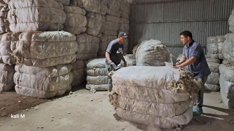 El precio de la lana saltó un 25% y reactivó las ventas en la Patagonia