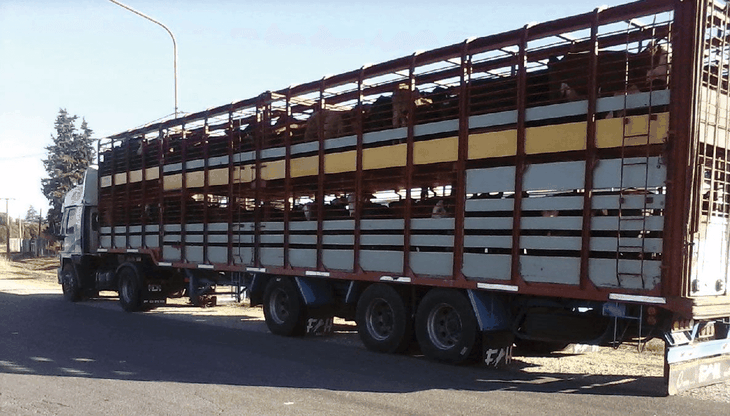 La hacienda había sido trasladada entre provincias y estaba a punto de ser vendida cuando intervino la Justicia.