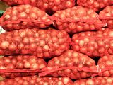 cebollas-bolsas.jpg