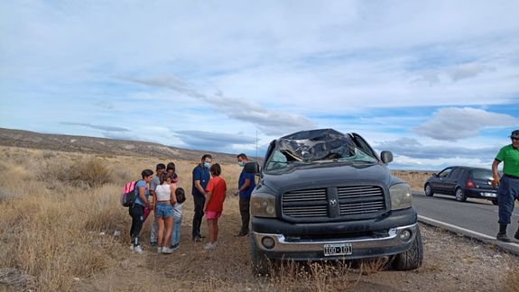 Una familia de turistas chocó a un ciervo en la Ruta 234: se salvaron de milagro