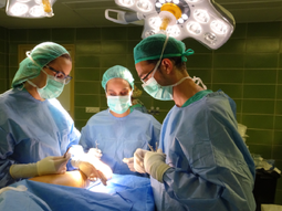 La operación fue realizada al margen del sistema regular de atención hospitalaria, sin orden médica registrada y sin habilitación administrativa. La operación fue realizada al margen del sistema regular de atención hospitalaria, sin orden médica registrada y sin habilitación administrativa.