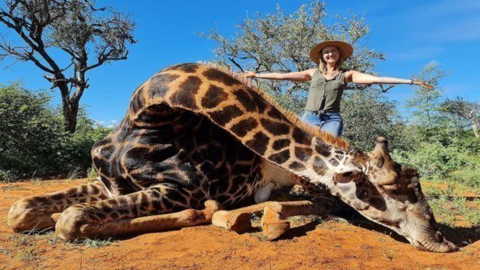 Facebook: una mujer es repudiada por cazar a una jirafa y posar con su corazón