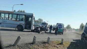 un pehuenche choco contra un auto en ruta 22: una persona herida un pehuenche choco contra un auto en ruta 22: una persona herida