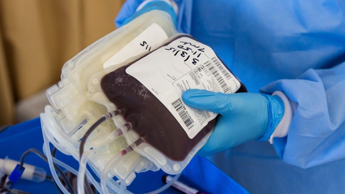 Donar plasma: ¿en qué se diferencia de dar sangre?