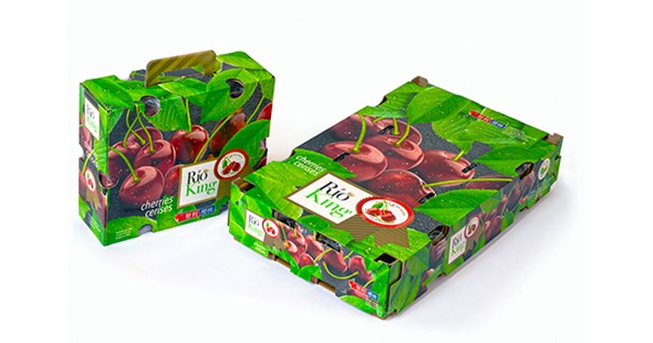 El desplome del negocio de la cereza terminó por tensionar las finanzas de la exportadora, que enfrenta un complejo escenario. El desplome del negocio de la cereza terminó por tensionar las finanzas de la exportadora, que enfrenta un complejo escenario.