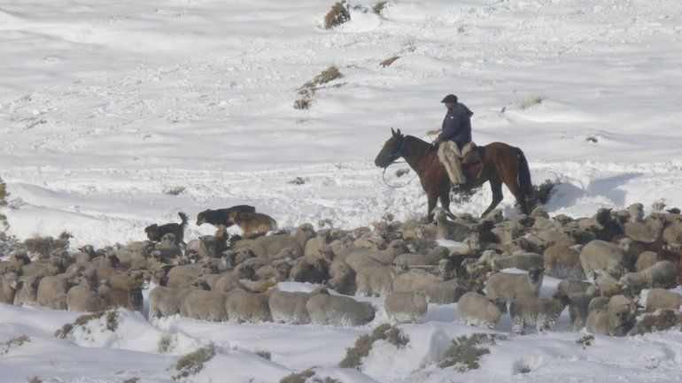 Hace 50 años que no se registraban en la zona nevadas en esta época del año.&nbsp;