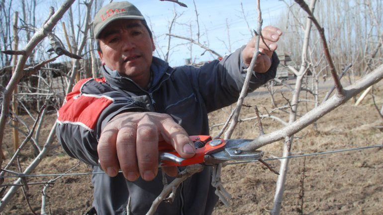 Dan luz verde a un paquete de ayuda para chacareros