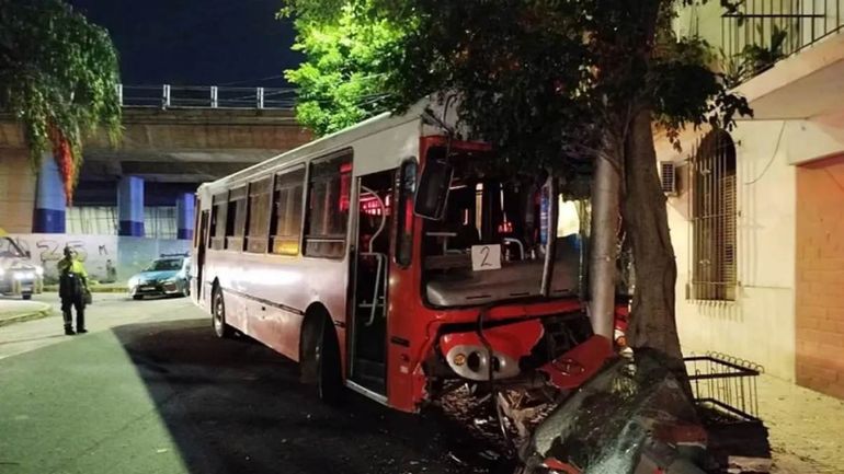 Micro escolar chocó violentamente contra un árbol y dejó 35 heridos