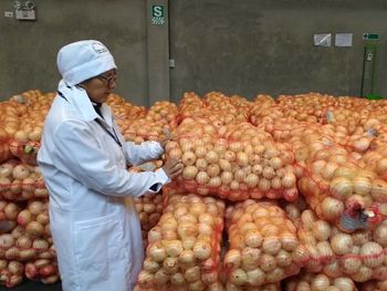 La cebolla en Río Negro es considerada internacionalmente por su calidad. Un dato no menor para los mercados.