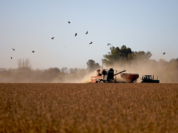 El crecimiento del 4,5% en volumen se presenta como una señal positiva. El crecimiento del 4,5% en volumen se presenta como una señal positiva.
