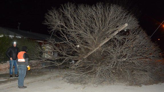 Fuertes ráfagas de viento volaron techos y árboles en Junín