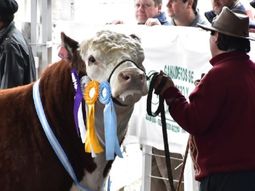 Comienzan las exposiciones rurales en Río Negro, una muestra de la capacidad productiva de la provincia. Comienzan las exposiciones rurales en Río Negro, una muestra de la capacidad productiva de la provincia.