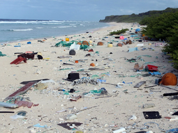 Cajones, redes y cabos dominan las costas de Chubut: el 90% es basura pesquera. Cajones, redes y cabos dominan las costas de Chubut: el 90% es basura pesquera.