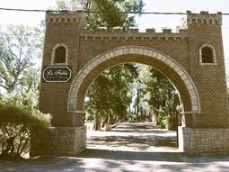 Legado vivo: En La Falda, la historia no se lee en libros; se recorre entre toneles gigantes y maquinaria que parece detenida en el tiempo. Legado vivo: En La Falda, la historia no se lee en libros; se recorre entre toneles gigantes y maquinaria que parece detenida en el tiempo.