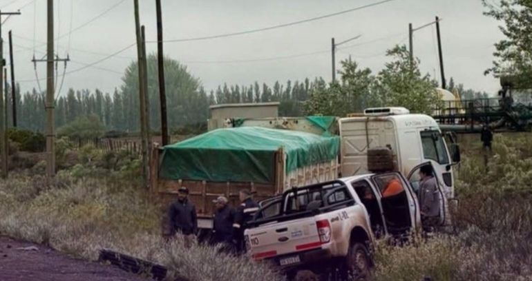 El siniestro vial ocurrió este jueves en San Patricio del Chañar.&nbsp;