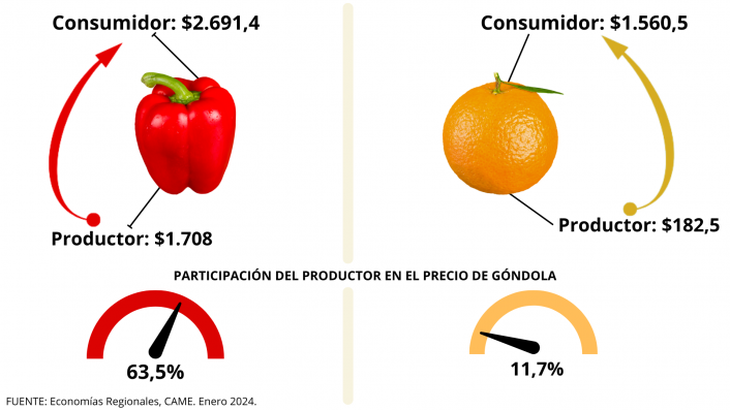 El relevamiento arrojó que la mayor participación la tuvieron los productores de pimiento rojo (63,5%), mientras que la menor fue para los de naranja (11,7%). Foto: CAME El relevamiento arrojó que la mayor participación la tuvieron los productores de pimiento rojo (63,5%), mientras que la menor fue para los de naranja (11,7%). Foto: CAME
