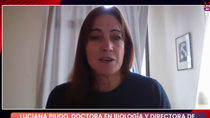 Hantavirus bajo la lupa: una experta neuquina explica por qué no hay riesgo de pandemia pese al brote en el crucero Hantavirus bajo la lupa: una experta neuquina explica por qué no hay riesgo de pandemia pese al brote en el crucero