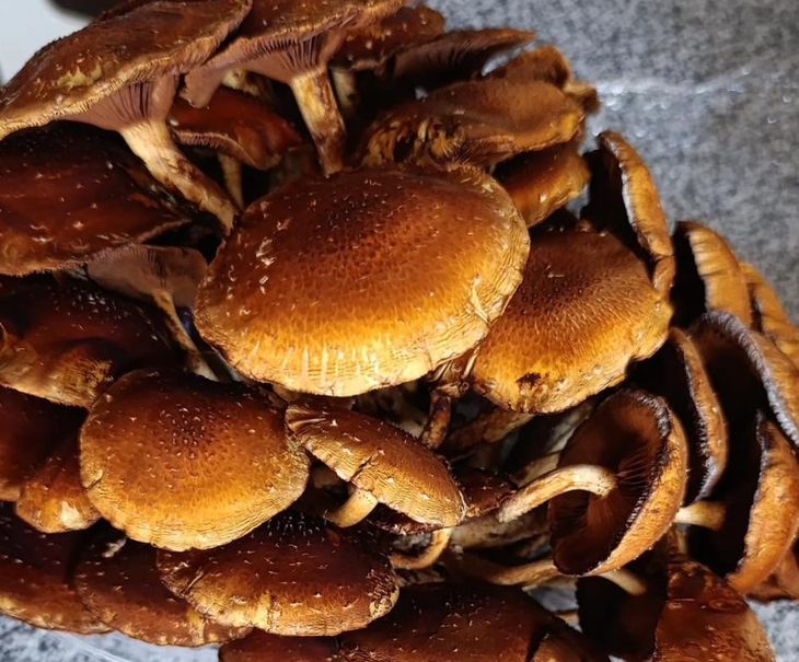 "Pasé por un montón de ciclos productivos”, asegura. "Pasé por un montón de ciclos productivos”, asegura.