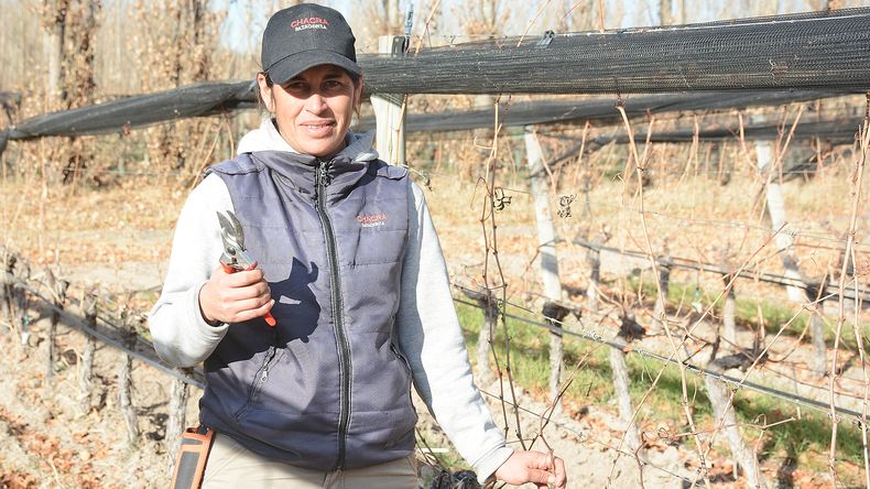 Romina Hernández, forjada en las chacras de Mainqué, brilla como campeona regional de poda de vid. Foto: gentileza Juan Thomes.