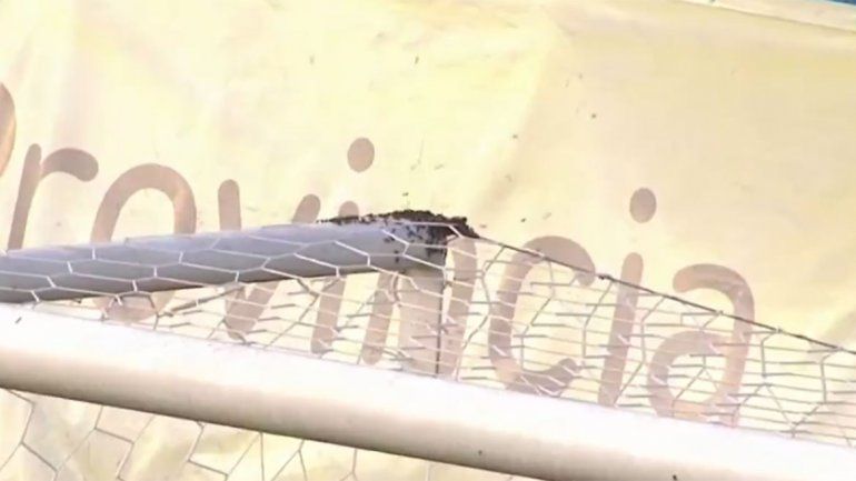 Insólito: abejas invadieron una cancha, demoraron el partido y las ahuyentaron con ¡matafuegos!