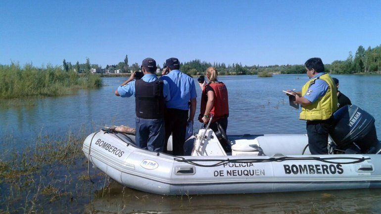 Pescadores encontraron a un hombre ahogado en el río Limay
