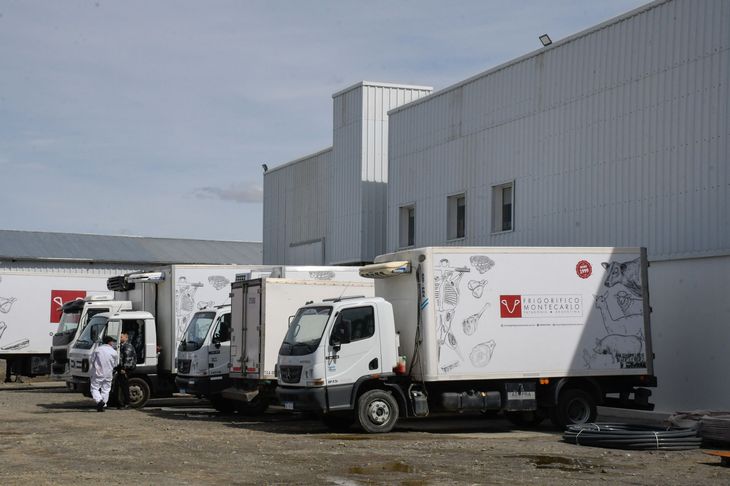 Los camiones del frigorífico Montecarlo, el único centro de faena de guanacos habilitado en la provincia de Santa Cruz. Los camiones del frigorífico Montecarlo, el único centro de faena de guanacos habilitado en la provincia de Santa Cruz.