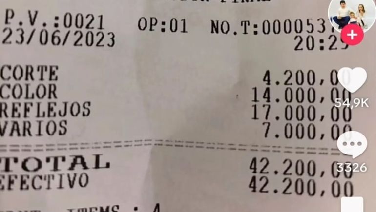 Pelo teñido y muy costoso Pelo teñido y muy costoso