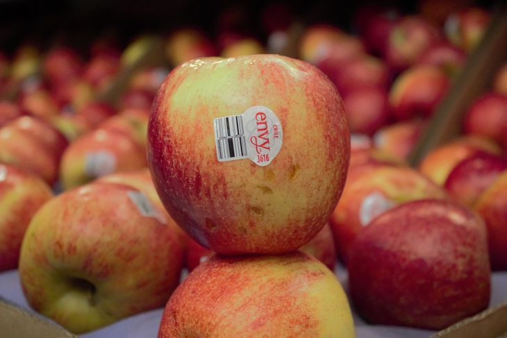 Con producci&oacute;n en 13 pa&iacute;ses, ENVY&trade; se posiciona entre las marcas l&iacute;deres a nivel global.