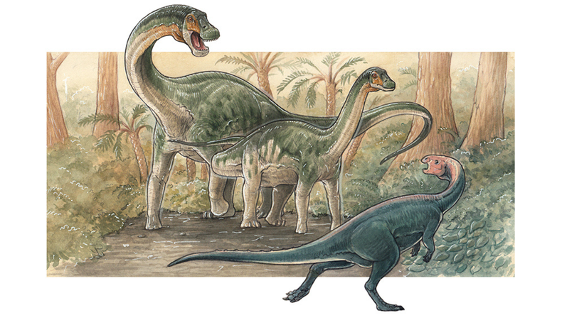 El CONICET descubrió una nueva especie de dinosaurio en Neuquén. | LM Neuquen El CONICET descubrió una nueva especie de dinosaurio en Neuquén.