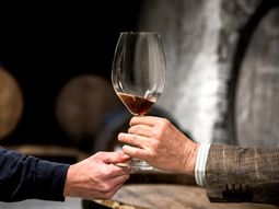 Un aroma a combustible bien integrado aporta elegancia; en exceso, enmascara toda la expresión del vino. Un aroma a combustible bien integrado aporta elegancia; en exceso, enmascara toda la expresión del vino.
