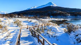 Cultivar en el Fin del Mundo: desafíos de la producción agrícola en Tierra del Fuego