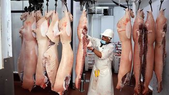 La mayor empresa de alimentos de España adquirió participación en el ecosistema porcino de Grupo Pacuca y busca expandir el negocio exportador desde Argentina. | LM Neuquen La mayor empresa de alimentos de España adquirió participación en el ecosistema porcino de Grupo Pacuca y busca expandir el negocio exportador desde Argentina.