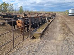 la patagonia ganadera toca su techo: el riego como solucion ineludible la patagonia ganadera toca su techo: el riego como solucion ineludible