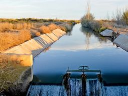 ¿cual es el plan de neuquen para optimizar el riego? ¿cual es el plan de neuquen para optimizar el riego?