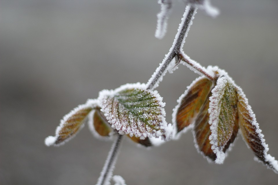 el valle esta en alerta: anticipan minimas de-6 grados