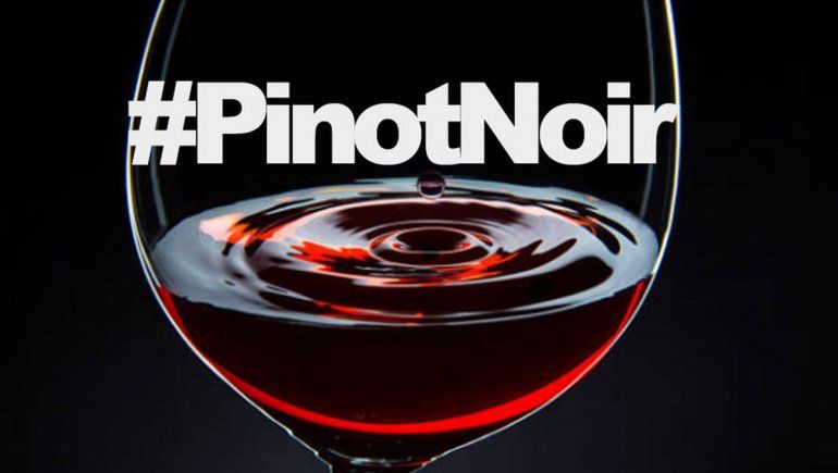 Doce etiquetas para celebrar el día mundial del pinot noir