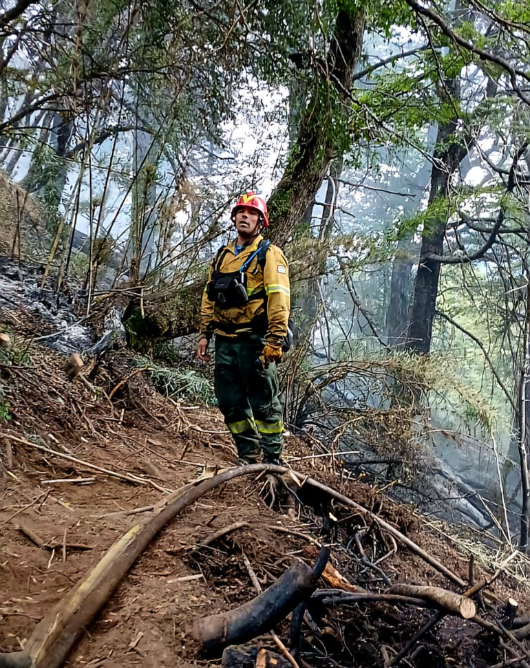 Un brigadista observa, resignado, las consecuencias del incendio sobre las especies nativas en el Parque Nacional Nahuel Huapi.