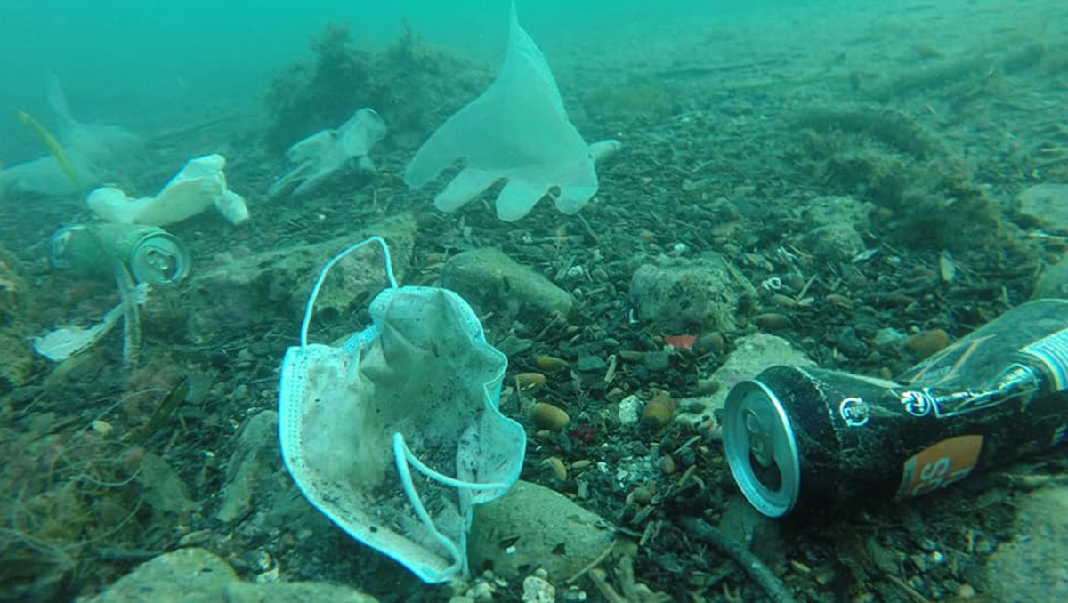 El residuo pandémico pone en peligro a la fauna y flora