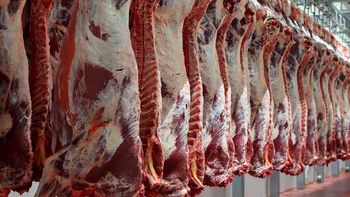 El mercado mundial de carne vacuna muestra precios firmes impulsados por la demanda global, mientras la producción comienza a ajustarse en varios países. | LM Neuquen El mercado mundial de carne vacuna muestra precios firmes impulsados por la demanda global, mientras la producción comienza a ajustarse en varios países.