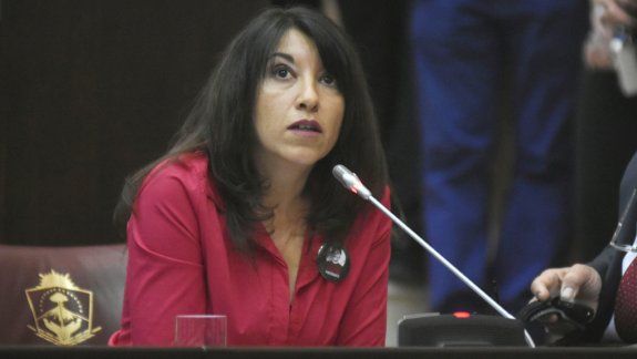 La legisladora Patricia Jure es la principal impulsora de la propuesta.