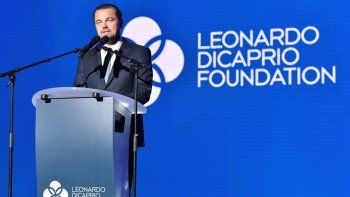 dicaprio sorprendio con un elogio a la argentina: ¿que dijo? dicaprio sorprendio con un elogio a la argentina: ¿que dijo?