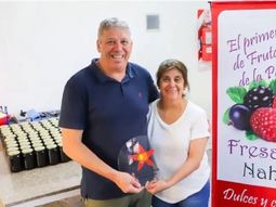 fresas del nahuel: de un anafe, a la distincion de la provincia de neuquen fresas del nahuel: de un anafe, a la distincion de la provincia de neuquen