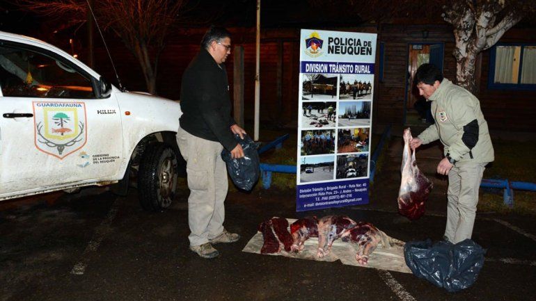 Encuentran a un cazador furtivo con cuatro animales faenados de manera clandestina en el auto