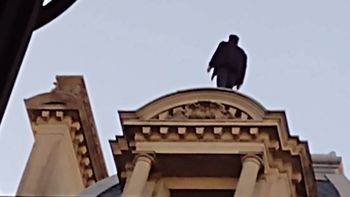 La silueta del hombre en las alturas, similar a la de Batman, llamó la atención de los transeutes. La silueta del hombre en las alturas, similar a la de Batman, llamó la atención de los transeutes.