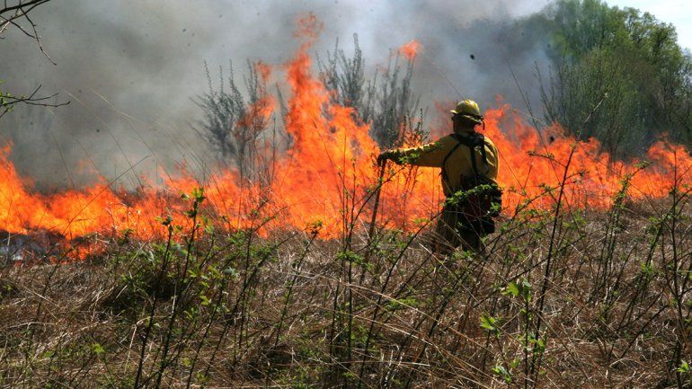 El jueves pasado se quemaron 55 hectáreas en Plottier.