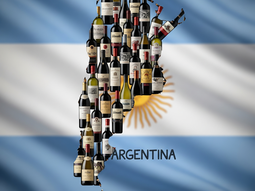 Se conoció una nueva reglamentación del INV. Se conoció una nueva reglamentación del INV.