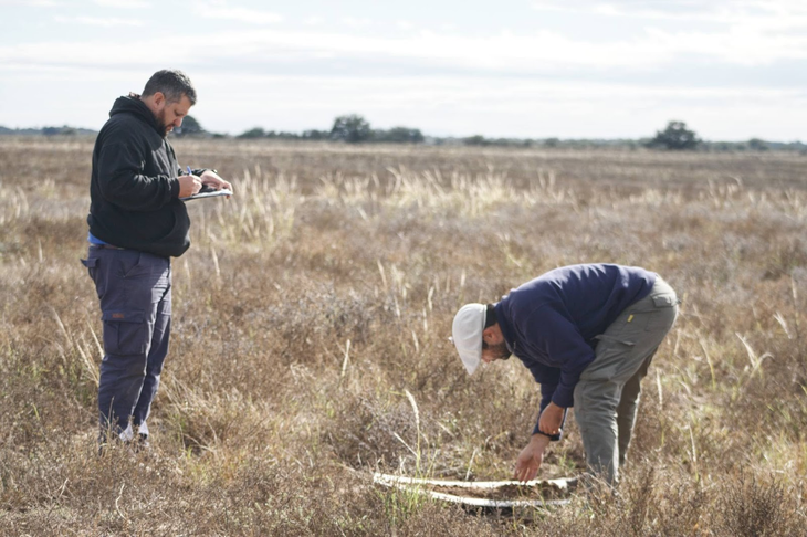 El trabajo de campo es clave. Foto: Regenera Latam. El trabajo de campo es clave. Foto: Regenera Latam.