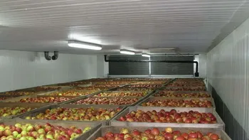 Los elevados volúmenes almacenados de manzana y pera en la Unión Europea generan preocupación entre los exportadores del hemisferio sur. | LM Neuquen Los elevados volúmenes almacenados de manzana y pera en la Unión Europea generan preocupación entre los exportadores del hemisferio sur.