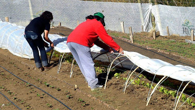 La producción agropecuaria en Neuquén tiene una carrera técnica.
